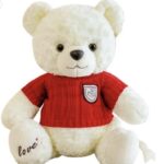 White Bear with red sweater