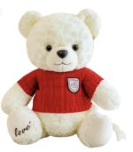 White Bear with red sweater