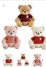 White Bear with red sweater - Image 2